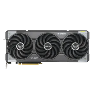 w800 -4-.png